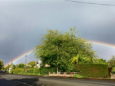 Picture 17